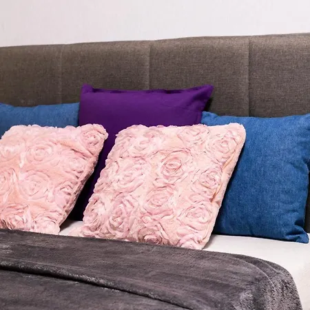 公寓 Pearl Of The Old Town 维尔纽斯